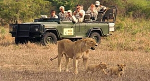 private Safari